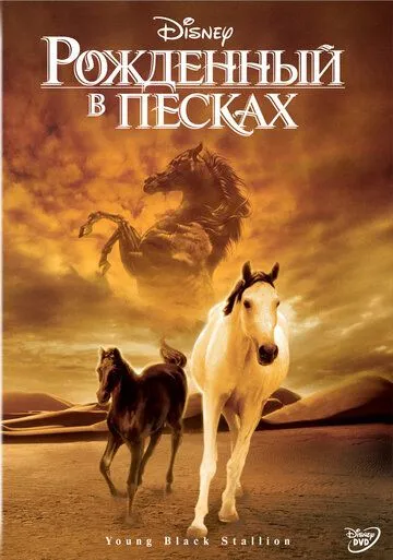 смотреть онлайн Рожденный в песках (2003)
