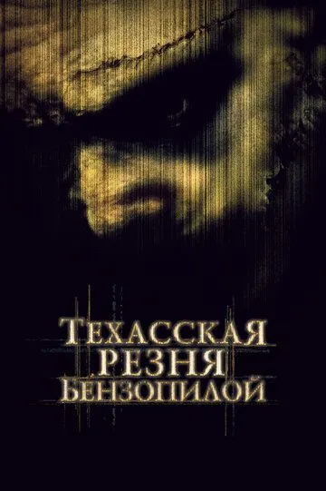 Постер к фильму Техасская резня бензопилой (2003)