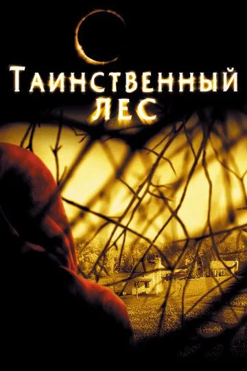 Постер к фильму Таинственный лес (2004)
