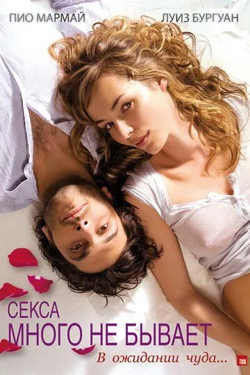 Постер к фильму Секса много не бывает (2011)