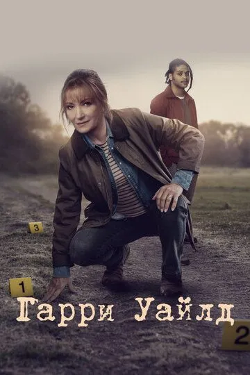 Постер к фильму Гарри Уайлд (2022)