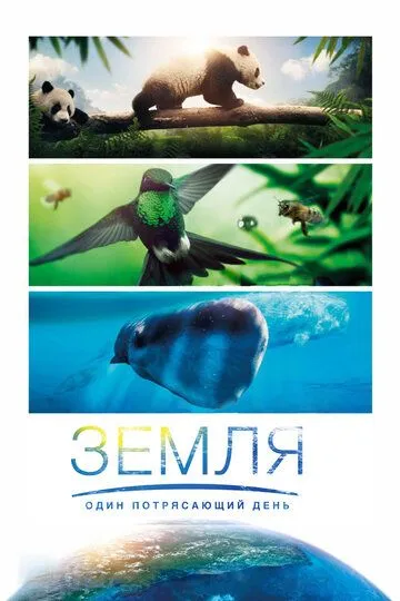 Постер к фильму Земля: Один потрясающий день (2017)