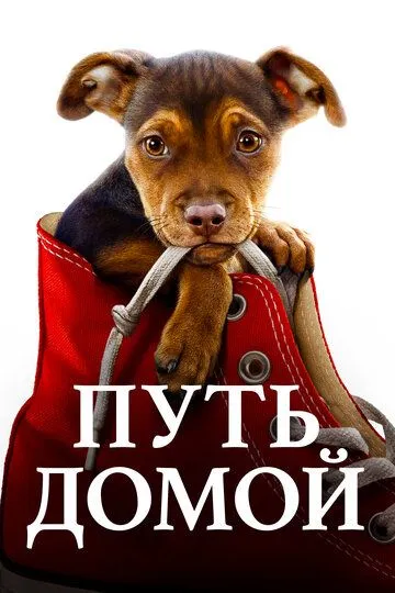 Постер к фильму Путь домой (2019)