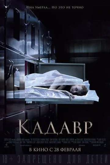 Постер к фильму Кадавр (2018)