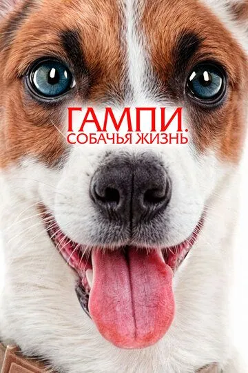 Постер к фильму Гампи. Собачья жизнь (2024)