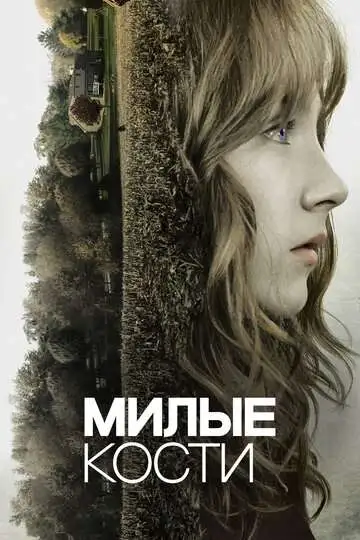 Постер к фильму Милые кости (2009)