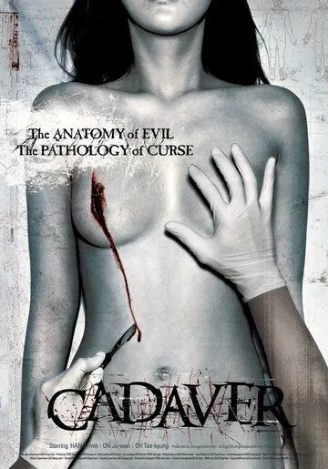 Смотреть онлайн Труп (2006) в хорошем качестве