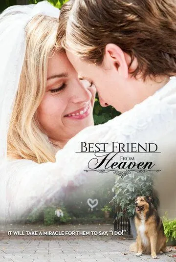 Смотреть онлайн Лучший друг с небес (2017) в хорошем качестве