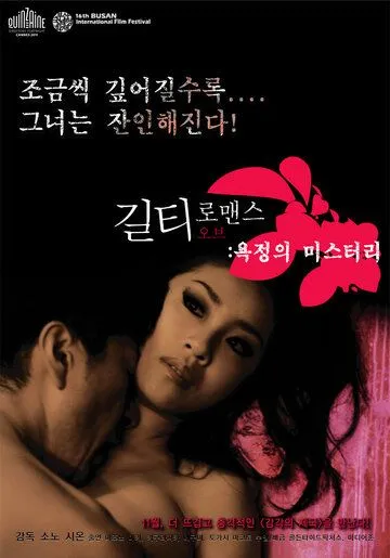 Смотреть онлайн Виновный в романе (2011) в хорошем качестве