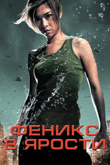 Смотреть онлайн Феникс в ярости (2009) в хорошем качестве