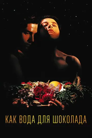 Смотреть онлайн Как вода для шоколада (1991) в хорошем качестве