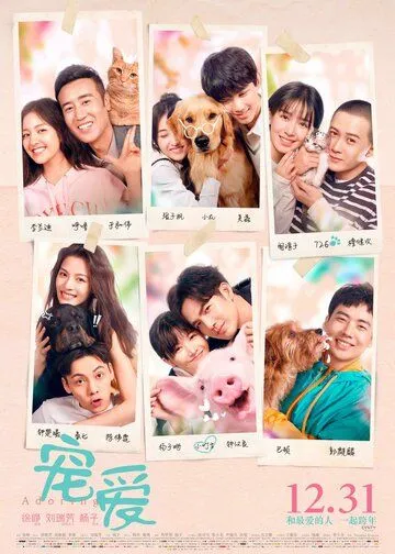 Смотреть онлайн Обожание (2019) в хорошем качестве