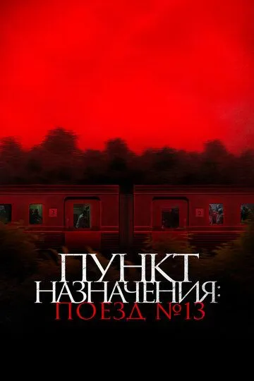 Смотреть онлайн Пункт назначения: Поезд № 13 (2024) в хорошем качестве