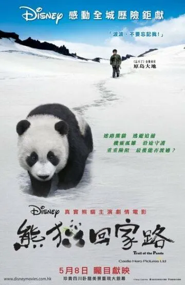 Смотреть онлайн След панды (2009) в хорошем качестве