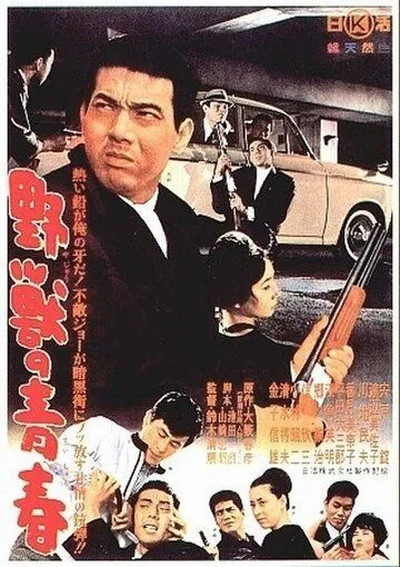 Смотреть онлайн Молодость зверя (1963) в хорошем качестве