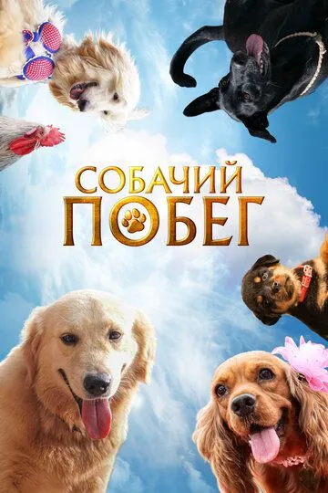 Смотреть онлайн Собачий побег (2023) в хорошем качестве