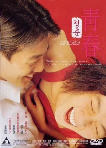 Смотреть онлайн Сливовый цвет (2000) в хорошем качестве