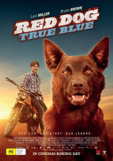 Смотреть онлайн Рыжий пес: Самый верный (2016) в хорошем качестве