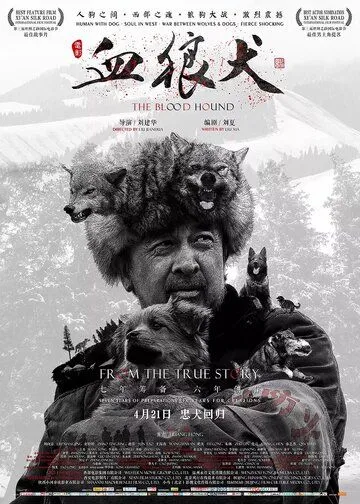 Смотреть онлайн Кровавая гончая (2016) в хорошем качестве