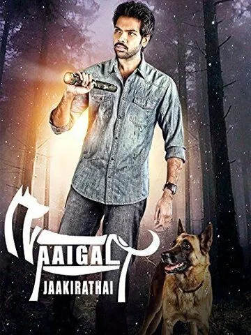 Смотреть онлайн Берегитесь собак (2014) в хорошем качестве