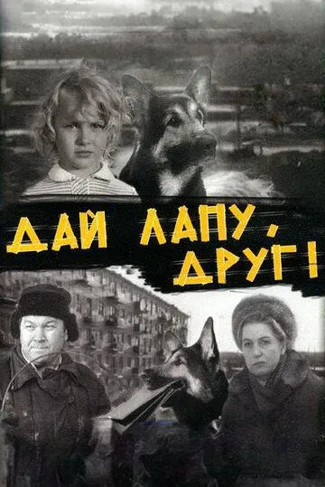 Смотреть онлайн Дай лапу, Друг (1967) в хорошем качестве