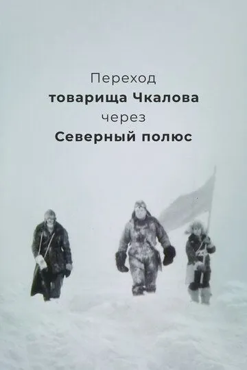 Смотреть онлайн Переход товарища Чкалова через Северный полюс (1990) в хорошем качестве