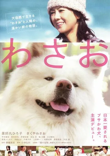 Смотреть онлайн Васао (2011) в хорошем качестве