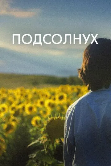 Смотреть онлайн Подсолнух (2023) в хорошем качестве