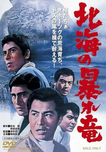 Смотреть онлайн Дракон, буйствующий в Северном море (1966) в хорошем качестве