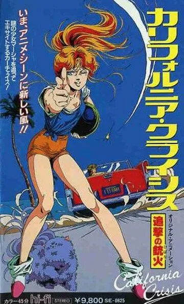 Смотреть онлайн Калифорнийский кризис (1986) в хорошем качестве