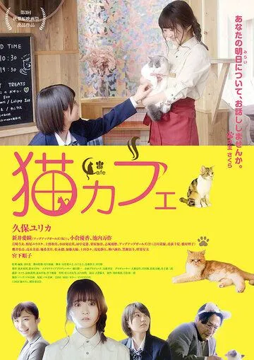 Смотреть онлайн Котокафе (2018) в хорошем качестве