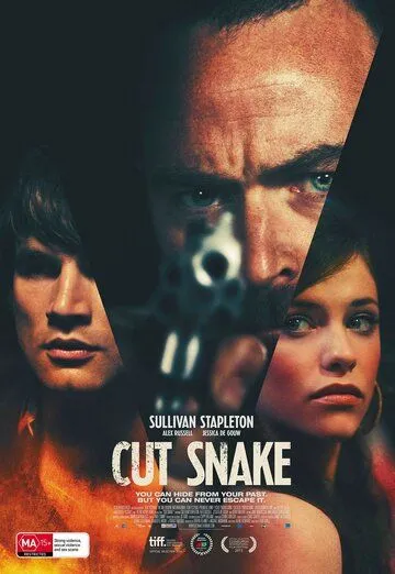 Смотреть онлайн Раненый змей (2014) в хорошем качестве