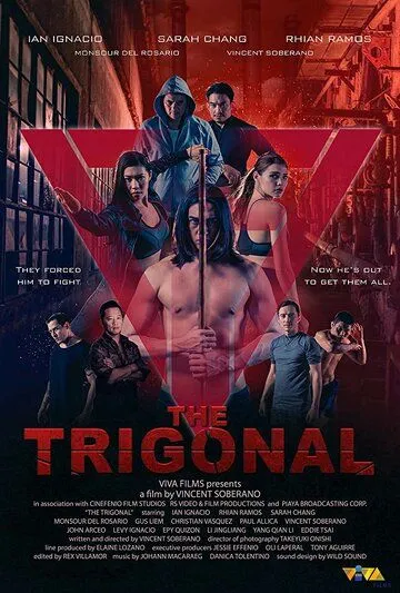 Смотреть онлайн Тригонал: Борьба за справедливость (2018) в хорошем качестве