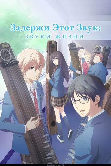 Смотреть онлайн Задержи этот звук: Звуки жизни (2019) в хорошем качестве