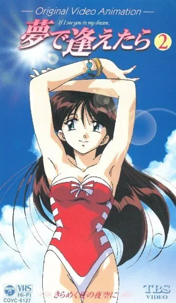 Смотреть онлайн Увидеть тебя в моих мечтах OVA (1998) в хорошем качестве