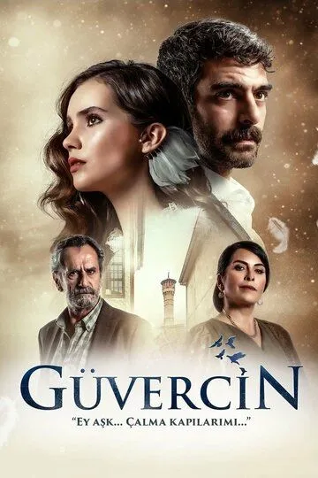 Смотреть онлайн Голубка (2019) в хорошем качестве