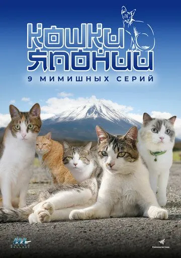 Смотреть онлайн Кошки Японии (2017) в хорошем качестве