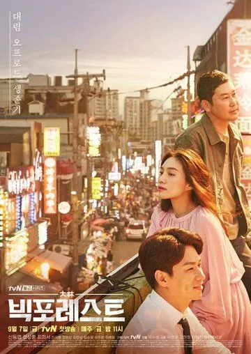 Смотреть онлайн Большой лес (2018) в хорошем качестве