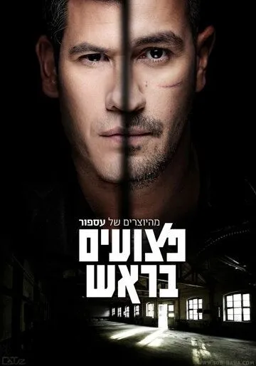 Смотреть онлайн Больные на голову (2013) в хорошем качестве