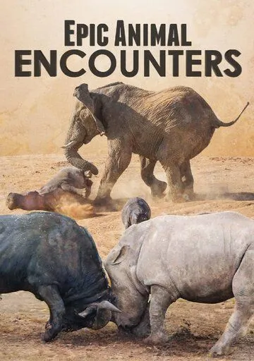 Смотреть онлайн Epic Animal Encounters (2019) в хорошем качестве
