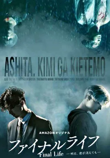Смотреть онлайн Финальная жизнь (2017) в хорошем качестве