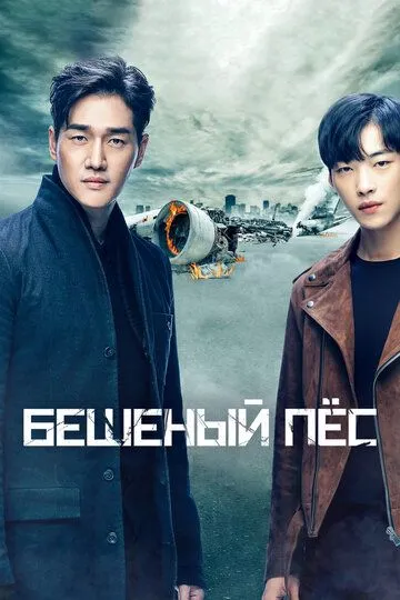 Смотреть онлайн Бешеный пёс (2017) в хорошем качестве
