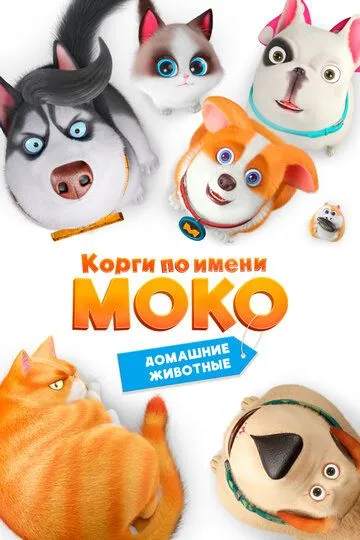 Смотреть онлайн Корги по имени Моко. Домашние животные (2019) в хорошем качестве