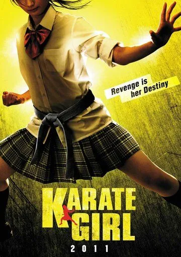 Смотреть онлайн Каратистка (2011) в хорошем качестве