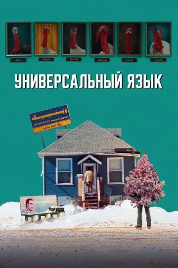 Смотреть онлайн Универсальный язык (2024) в хорошем качестве