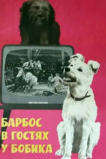 Смотреть онлайн Барбос в гостях у Бобика (1964) в хорошем качестве