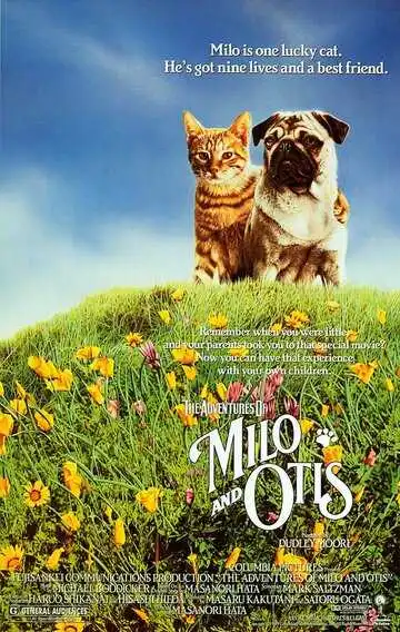 Смотреть онлайн Приключения Майло и Отиса (1986) в хорошем качестве