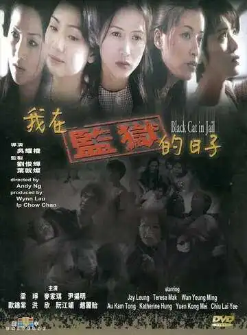 Смотреть онлайн Чёрная кошка 3: В тюрьме (2000) в хорошем качестве