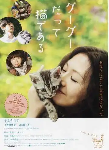 Смотреть онлайн Кот по имени Гу-Гу (2008) в хорошем качестве