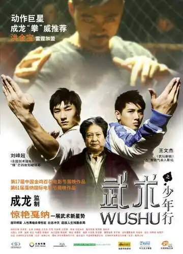 Смотреть онлайн Ушу (2008) в хорошем качестве